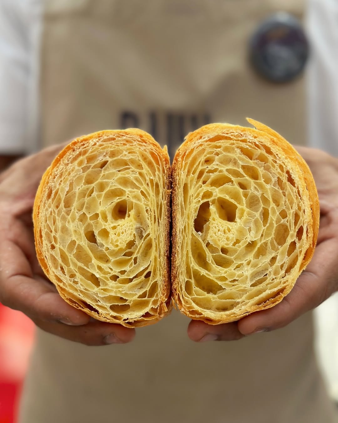 SaveClip.App_434197466_1745039009241836_4475846810768085102_n