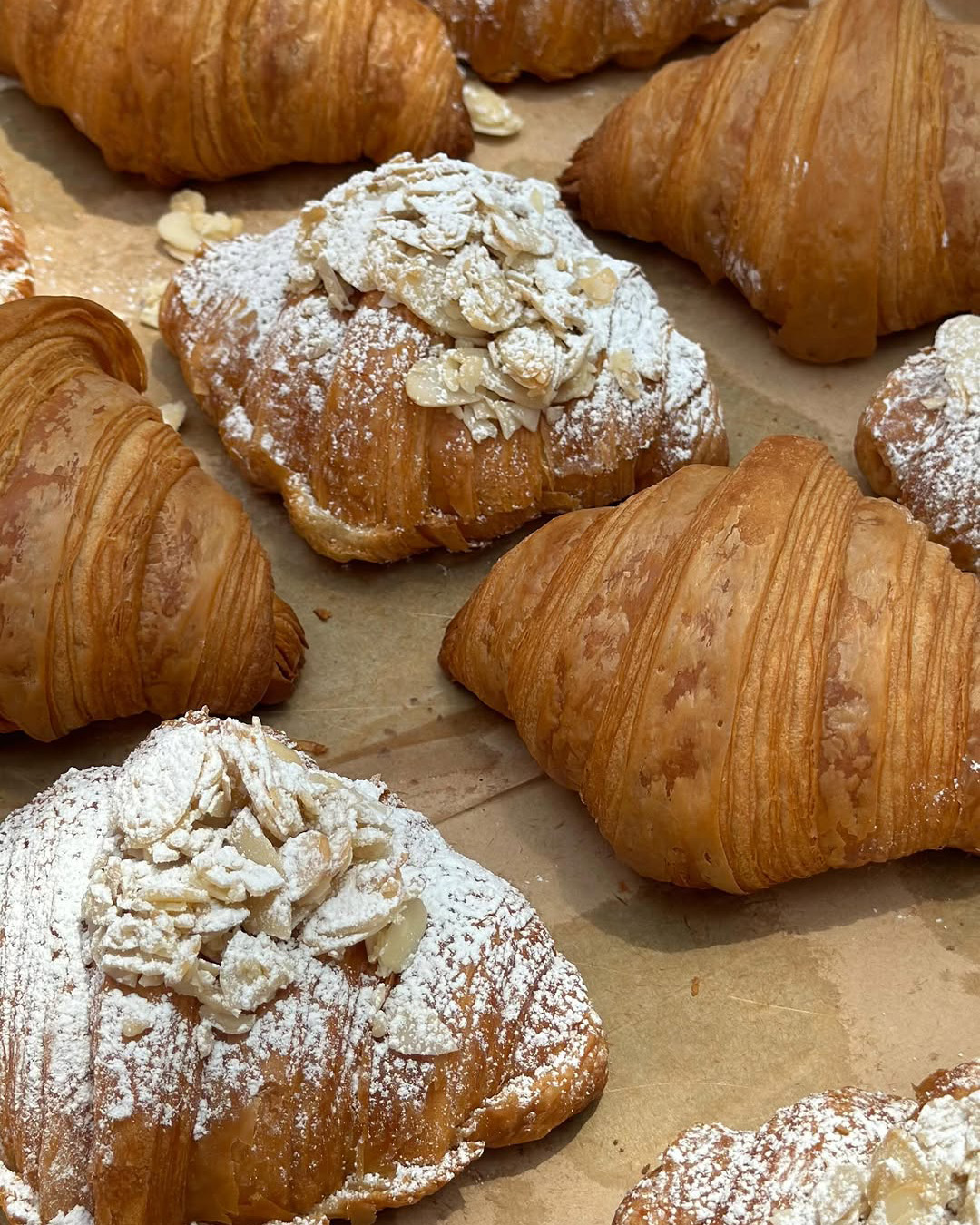 SaveClip.App_499903385_1047090833995866_4714935368253931462_n